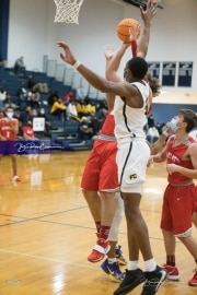 State Championship Boys Basketball - Hendersonville v. Farmville