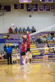 Volleyball - Hendersonville at North Henderson BRE_6834