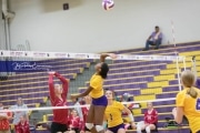 Volleyball - Hendersonville at North Henderson BRE_6864