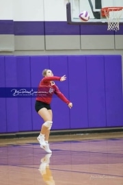 Volleyball - Hendersonville at North Henderson BRE_6868