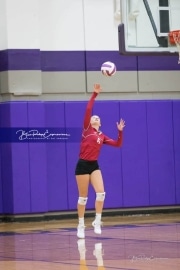 Volleyball - Hendersonville at North Henderson BRE_6873
