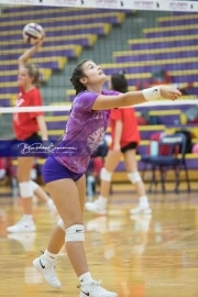 Volleyball - Hendersonville at North Henderson BRE_6876