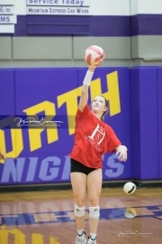 Volleyball - Hendersonville at North Henderson BRE_6881