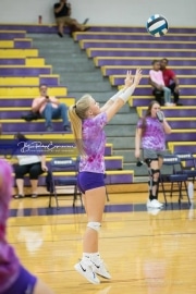 Volleyball - Hendersonville at North Henderson BRE_6888