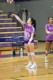 Volleyball - Hendersonville at North Henderson BRE_6890