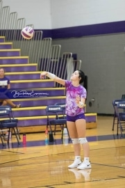 Volleyball - Hendersonville at North Henderson BRE_6893