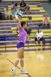 Volleyball - Hendersonville at North Henderson BRE_6895