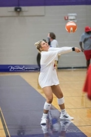 Volleyball - Hendersonville at North Henderson BRE_6902