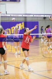 Volleyball - Hendersonville at North Henderson BRE_6905