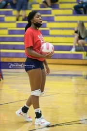 Volleyball - Hendersonville at North Henderson BRE_6909