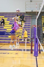 Volleyball - Hendersonville at North Henderson BRE_6930