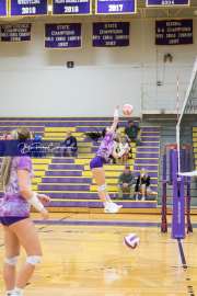 Volleyball - Hendersonville at North Henderson BRE_6942