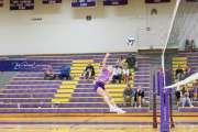 Volleyball - Hendersonville at North Henderson BRE_6947