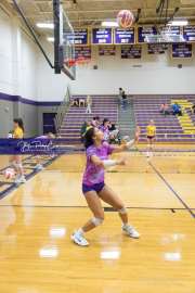 Volleyball - Hendersonville at North Henderson BRE_6955