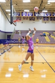 Volleyball - Hendersonville at North Henderson BRE_6956