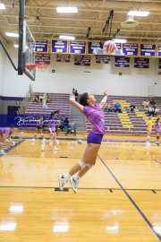 Volleyball - Hendersonville at North Henderson BRE_6957
