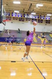 Volleyball - Hendersonville at North Henderson BRE_6958
