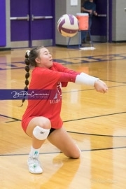 Volleyball - Hendersonville at North Henderson BRE_6963