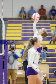 Volleyball - Hendersonville at North Henderson BRE_6995