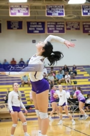 Volleyball - Hendersonville at North Henderson BRE_6997