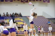 Volleyball - Hendersonville at North Henderson BRE_7094