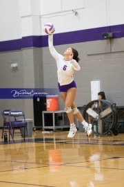 Volleyball - Hendersonville at North Henderson BRE_7108