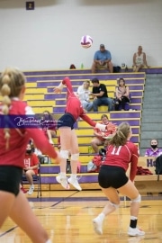 Volleyball - Hendersonville at North Henderson BRE_7125