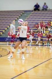 Volleyball - Hendersonville at North Henderson BRE_7131