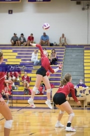 Volleyball - Hendersonville at North Henderson BRE_7133