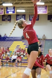 Volleyball - Hendersonville at North Henderson BRE_7135