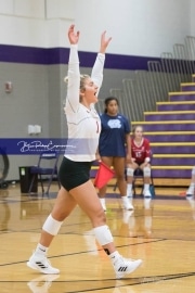 Volleyball - Hendersonville at North Henderson BRE_7143