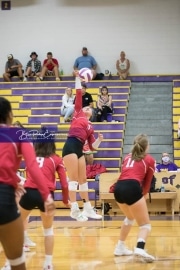 Volleyball - Hendersonville at North Henderson BRE_7155