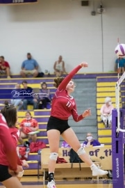 Volleyball - Hendersonville at North Henderson BRE_7160