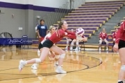 Volleyball - Hendersonville at North Henderson BRE_7165