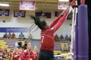 Volleyball - Hendersonville at North Henderson BRE_7167