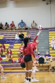 Volleyball - Hendersonville at North Henderson BRE_7174
