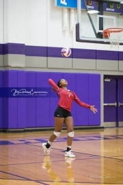 Volleyball - Hendersonville at North Henderson BRE_7176