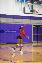 Volleyball - Hendersonville at North Henderson BRE_7177