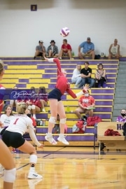Volleyball - Hendersonville at North Henderson BRE_7189