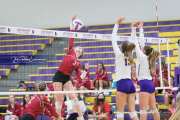 Volleyball - Hendersonville at North Henderson BRE_7193