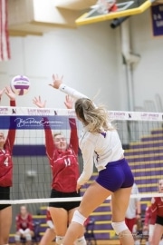 Volleyball - Hendersonville at North Henderson BRE_7196