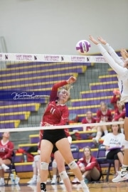 Volleyball - Hendersonville at North Henderson BRE_7208