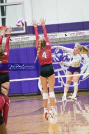 Volleyball - Hendersonville at North Henderson BRE_7219