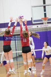 Volleyball - Hendersonville at North Henderson BRE_7221