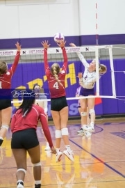 Volleyball - Hendersonville at North Henderson BRE_7225