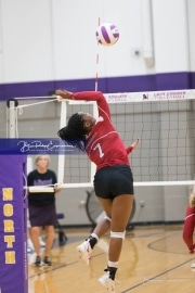 Volleyball - Hendersonville at North Henderson BRE_7234