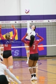 Volleyball - Hendersonville at North Henderson BRE_7236