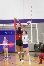 Volleyball - Hendersonville at North Henderson BRE_7239