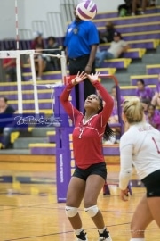 Volleyball - Hendersonville at North Henderson BRE_7249