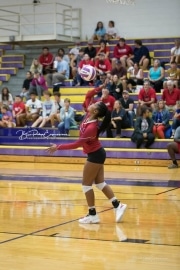 Volleyball - Hendersonville at North Henderson BRE_7254